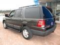 2005 Dark Stone Metallic Ford Expedition XLT 4x4  photo #2