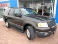 2005 Dark Stone Metallic Ford Expedition XLT 4x4  photo #12