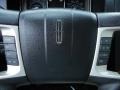 2010 Lincoln MKX Cashmere/Black Interior Controls Photo