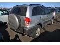 2002 Titanium Metallic Toyota RAV4 4WD  photo #2