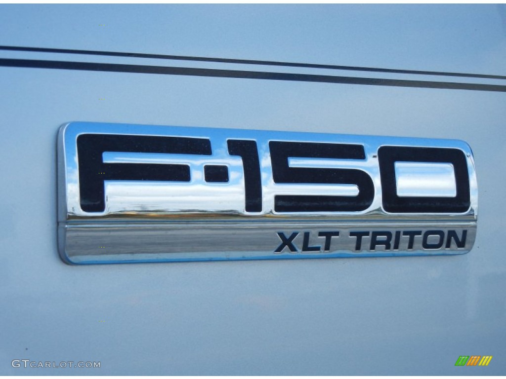 2006 F150 XLT SuperCrew - Silver Metallic / Medium/Dark Flint photo #10