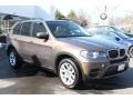 Sparkling Bronze Metallic 2011 BMW X5 xDrive 35i Exterior