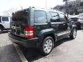 2011 Natural Green Metallic Jeep Liberty Limited 4x4  photo #6