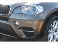 Sparkling Bronze Metallic - X5 xDrive 35i Photo No. 31