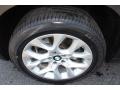 2011 BMW X5 xDrive 35i Wheel and Tire Photo