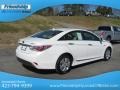 Porcelain White Pearl - Sonata Hybrid Photo No. 7