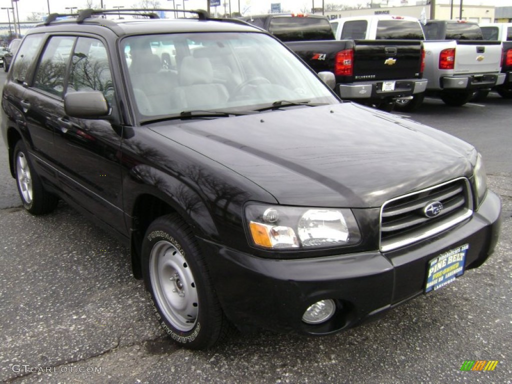 2003 Forester 2.5 XS - Java Black Pearl / Gray photo #3