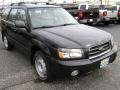 Java Black Pearl - Forester 2.5 XS Photo No. 3