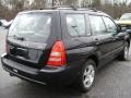 Java Black Pearl - Forester 2.5 XS Photo No. 4