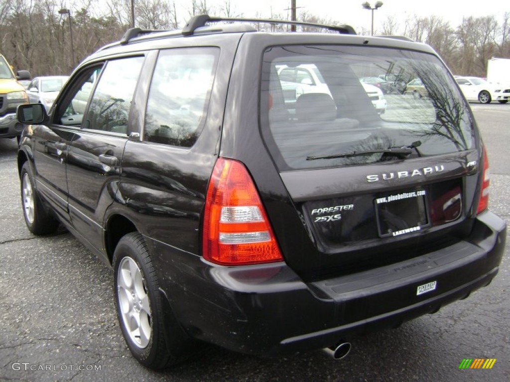 2003 Forester 2.5 XS - Java Black Pearl / Gray photo #6