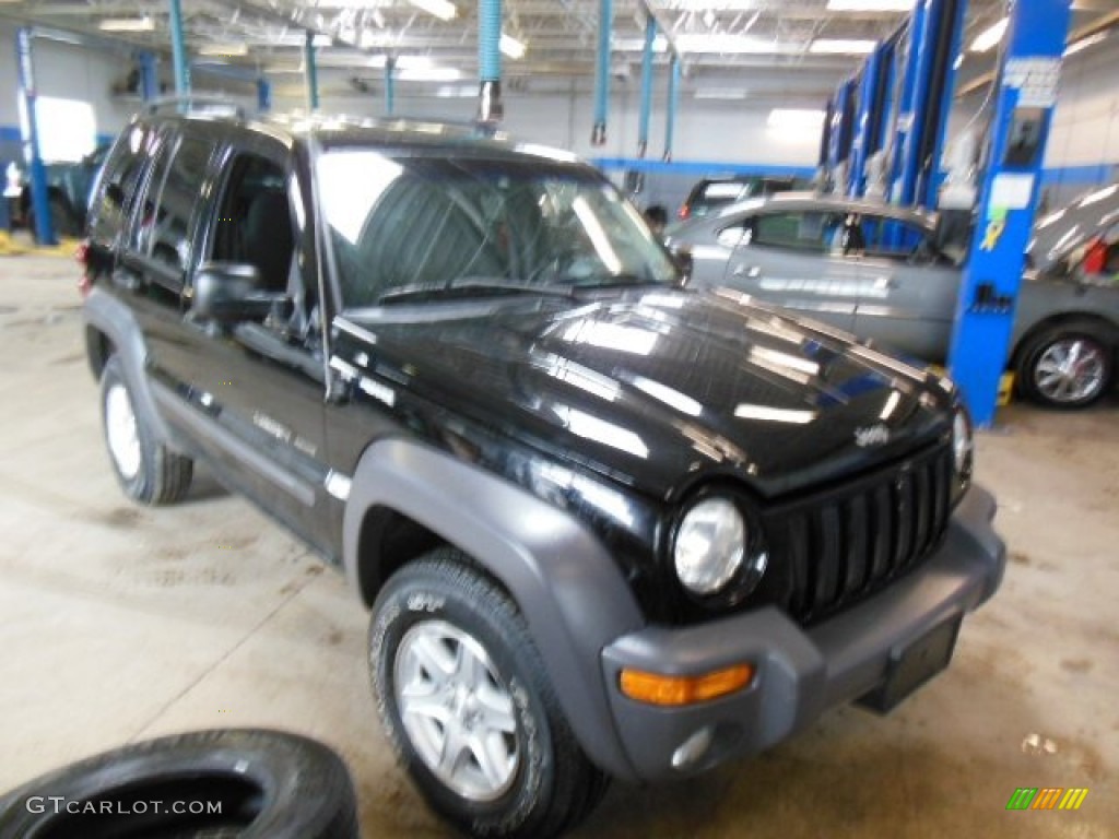 2002 Liberty Sport 4x4 - Black / Dark Slate Gray photo #1