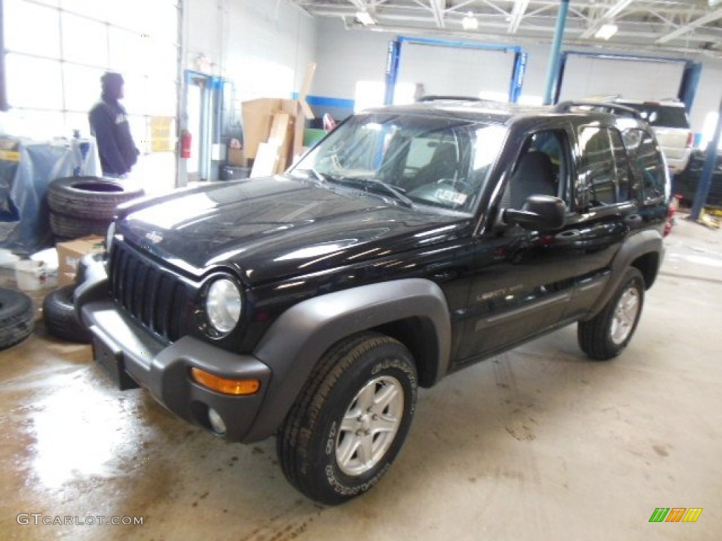 Black 2002 Jeep Liberty Sport 4x4 Exterior Photo #77227220