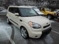 2010 Dune Beige Kia Soul !  photo #1