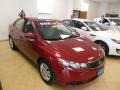 Spicy Red - Forte EX Photo No. 1