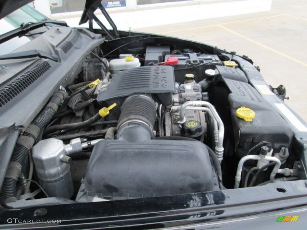 2004 Dodge Dakota Sport Regular Cab 4x4 4.7 Liter SOHC 16-Valve PowerTech V8 Engine Photo #77232554