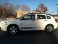 Stone White - Caliber SXT Photo No. 1