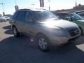 2007 Natural Khaki Green Hyundai Santa Fe GLS  photo #3