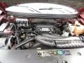5.4 Liter SOHC 24V Triton V8 2004 Ford F150 Lariat SuperCab Engine