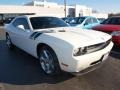 Stone White - Challenger R/T Photo No. 2