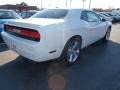 Stone White - Challenger R/T Photo No. 3