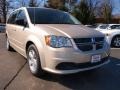 Sandstone - Grand Caravan SE Photo No. 2