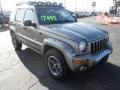 Light Khaki Metallic - Liberty Renegade 4x4 Photo No. 2