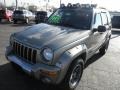 Light Khaki Metallic - Liberty Renegade 4x4 Photo No. 3