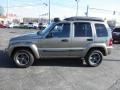 Light Khaki Metallic - Liberty Renegade 4x4 Photo No. 4