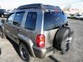 Light Khaki Metallic - Liberty Renegade 4x4 Photo No. 18