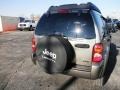 Light Khaki Metallic - Liberty Renegade 4x4 Photo No. 21
