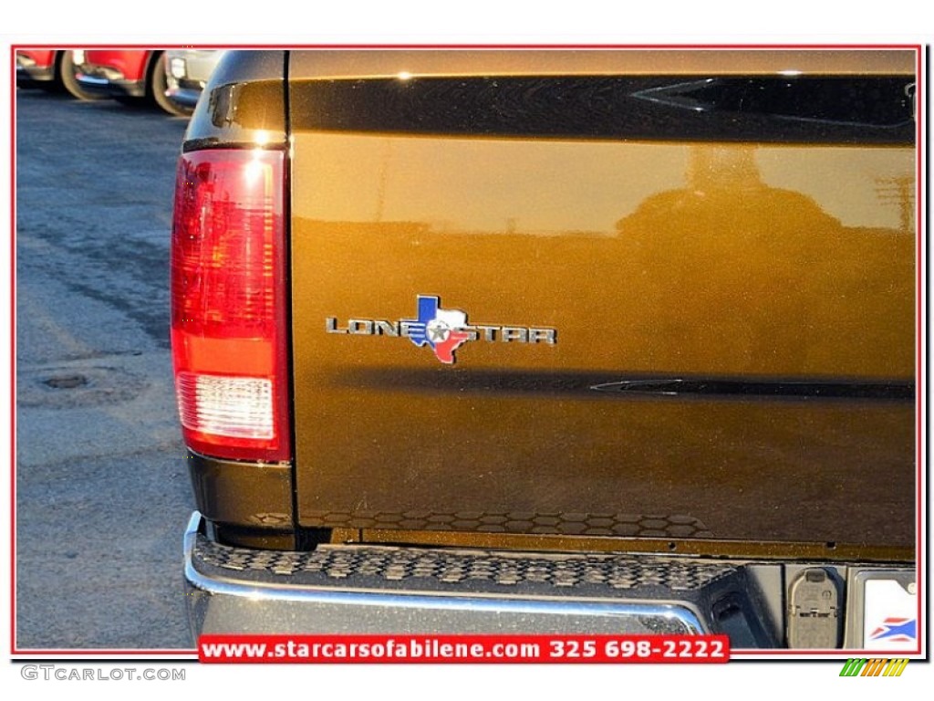 2013 1500 Lone Star Crew Cab - Black Gold Pearl / Black/Diesel Gray photo #5