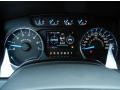 Steel Gray Gauges Photo for 2013 Ford F150 #77256654