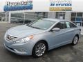 Iridescent Silver Blue Metallic - Sonata SE Photo No. 1