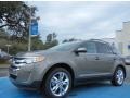 Mineral Gray Metallic 2013 Ford Edge Limited EcoBoost