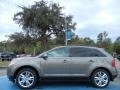 2013 Mineral Gray Metallic Ford Edge Limited EcoBoost  photo #2