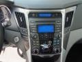 Silver Frost Metallic - Sonata Hybrid Photo No. 16
