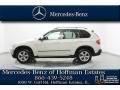 Alpine White - X5 3.0si Photo No. 2