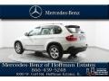 Alpine White - X5 3.0si Photo No. 5