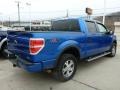 2010 Blue Flame Metallic Ford F150 FX4 SuperCrew 4x4  photo #5