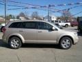 2009 Light Sandstone Metallic Dodge Journey SXT  photo #7