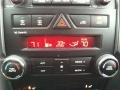 Black Controls Photo for 2011 Kia Sorento #77262998