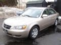 Golden Beige - Sonata GLS Photo No. 3