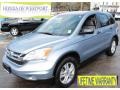 2010 Glacier Blue Metallic Honda CR-V EX AWD  photo #1