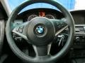 Jet Black - 5 Series 530xi Sedan Photo No. 28