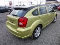 2010 Optic Green Metallic Dodge Caliber SXT  photo #11