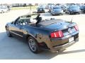 Black - Mustang V6 Premium Convertible Photo No. 12