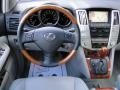 2007 Black Onyx Lexus RX 350  photo #12