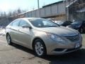Camel Pearl - Sonata GLS Photo No. 3