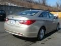 Camel Pearl - Sonata GLS Photo No. 4