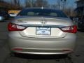 Camel Pearl - Sonata GLS Photo No. 5